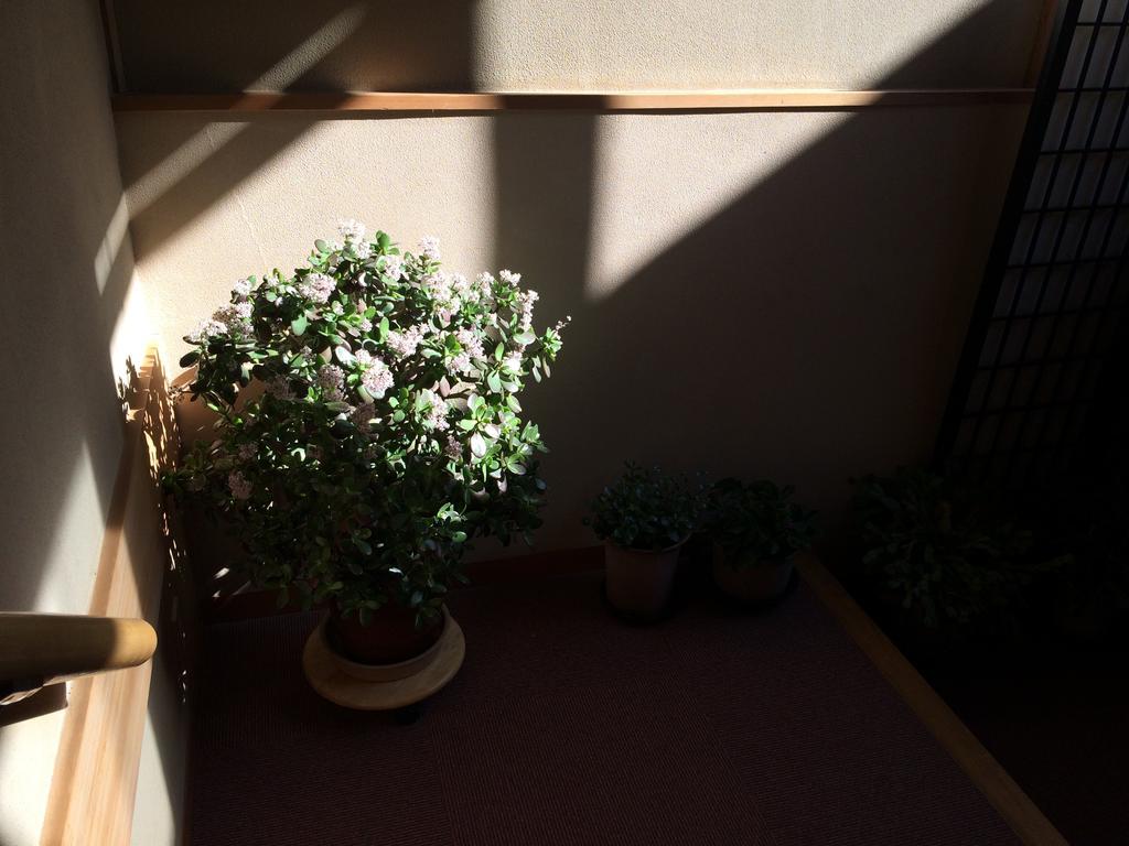 Hotel Yudanaka Onsen Yamazakiya Jamanouči Exteriér fotografie